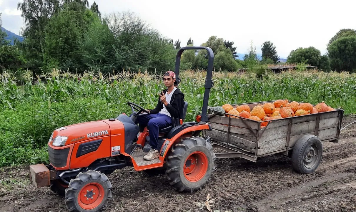 Estudiante en prácticas educativas